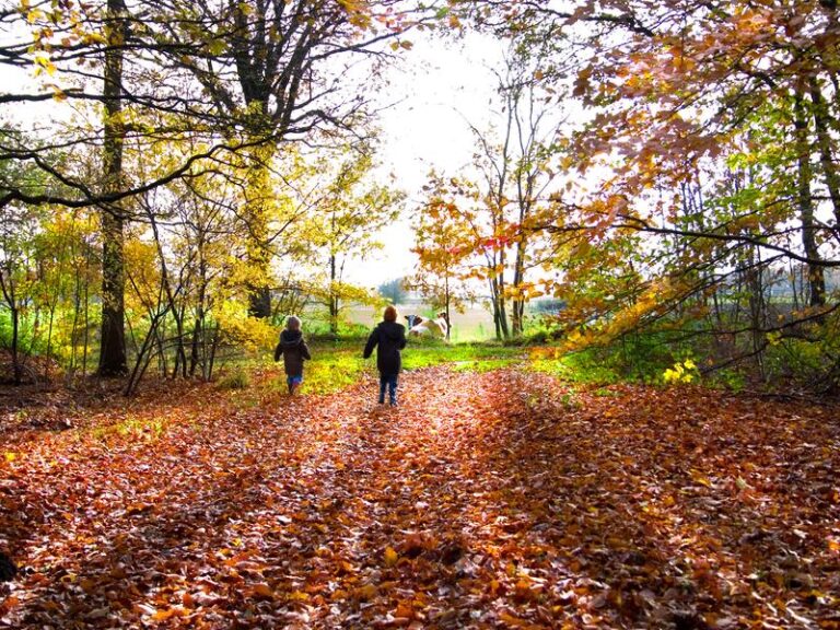 Najlepsza poro roku, rozgość się