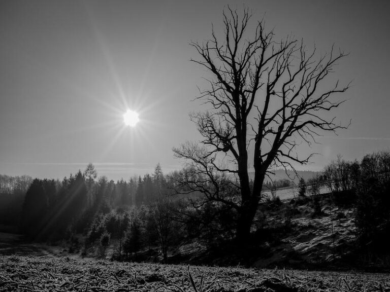 Jak skutecznie i bezboleśnie popełnić samobójstwo?