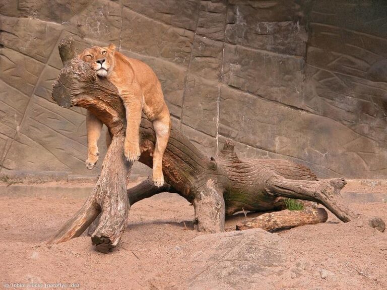 Że Tobie się chce. Że Ty masz czas…