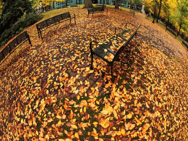 Potańcuj jesienią na bieganiu