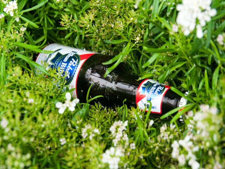 Albo alkohol, albo dobra forma