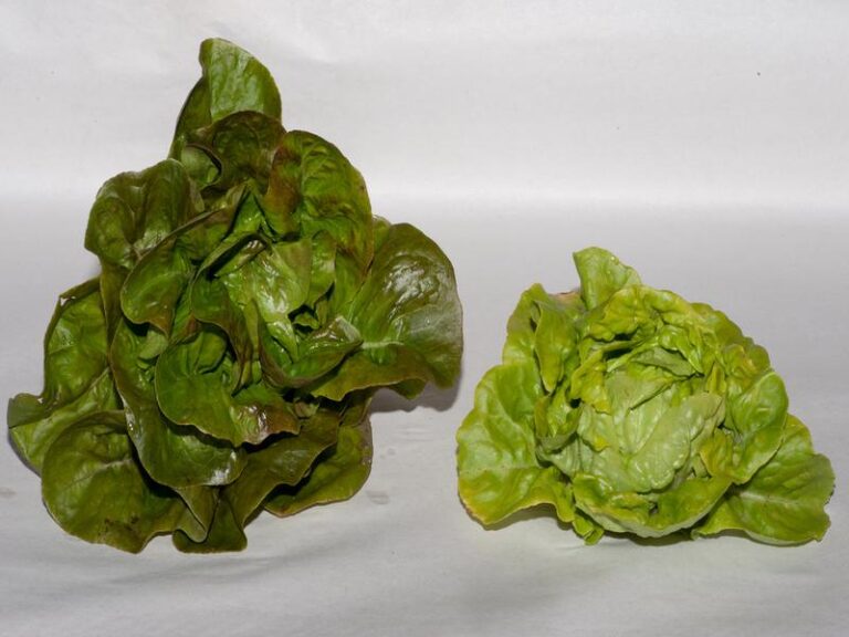 Dieta kopenhaska? Puknij się w głowę