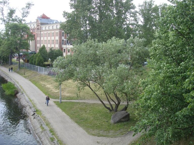 Najlepsze miejsca do biegania w Bydgoszczy