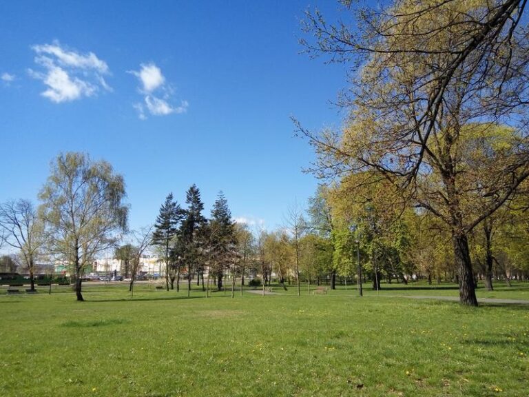 Gdy na półmaratonie jest jedynka z przodu. Wspomnienie z 2013 roku