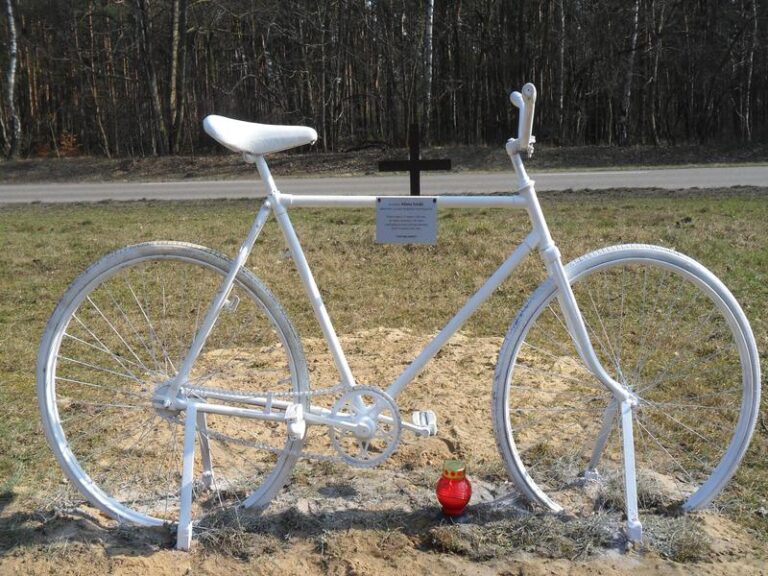 Rowerzysta kontra kierowca i pieszy na dokładkę