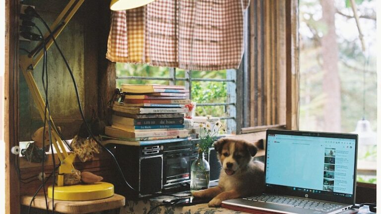 Odbiór bezpańskiego pisania