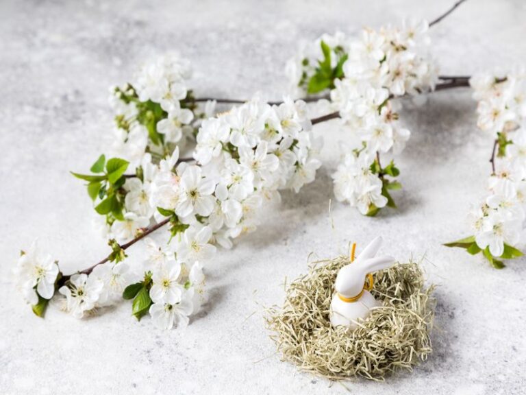 Święta nie są od tego, żeby być fit