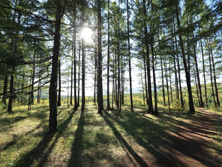 Może i jestem świrem, ale widzę dobre strony tego kryzysu