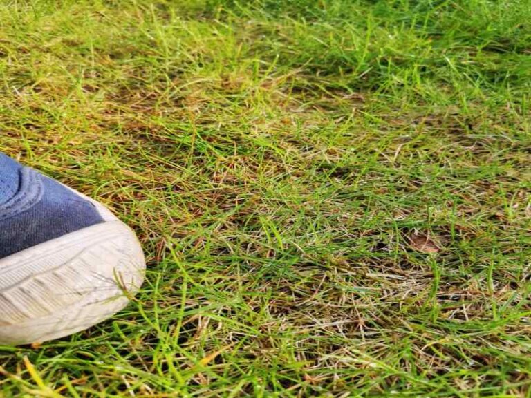 Za to właśnie kocham macierzyństwo