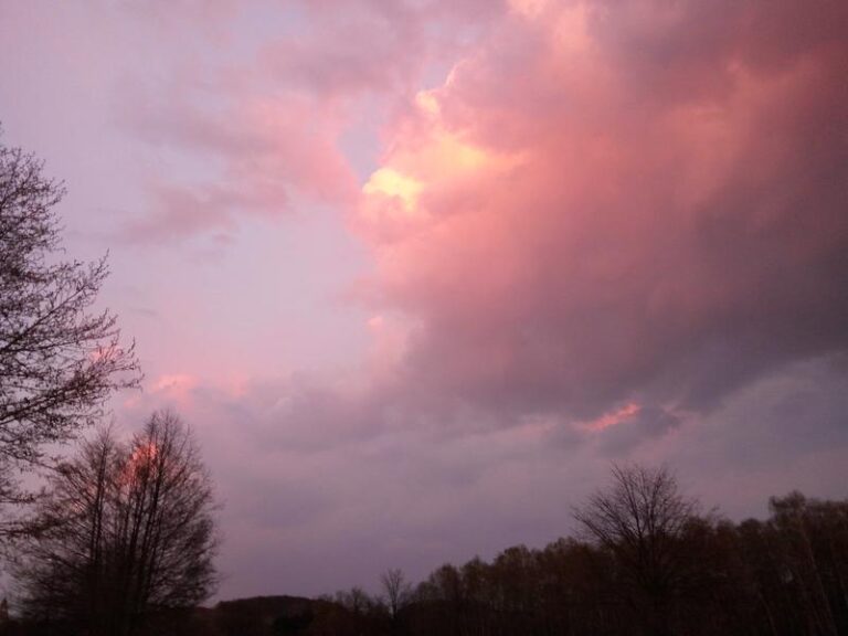 Pozwólmy ludziom na złość